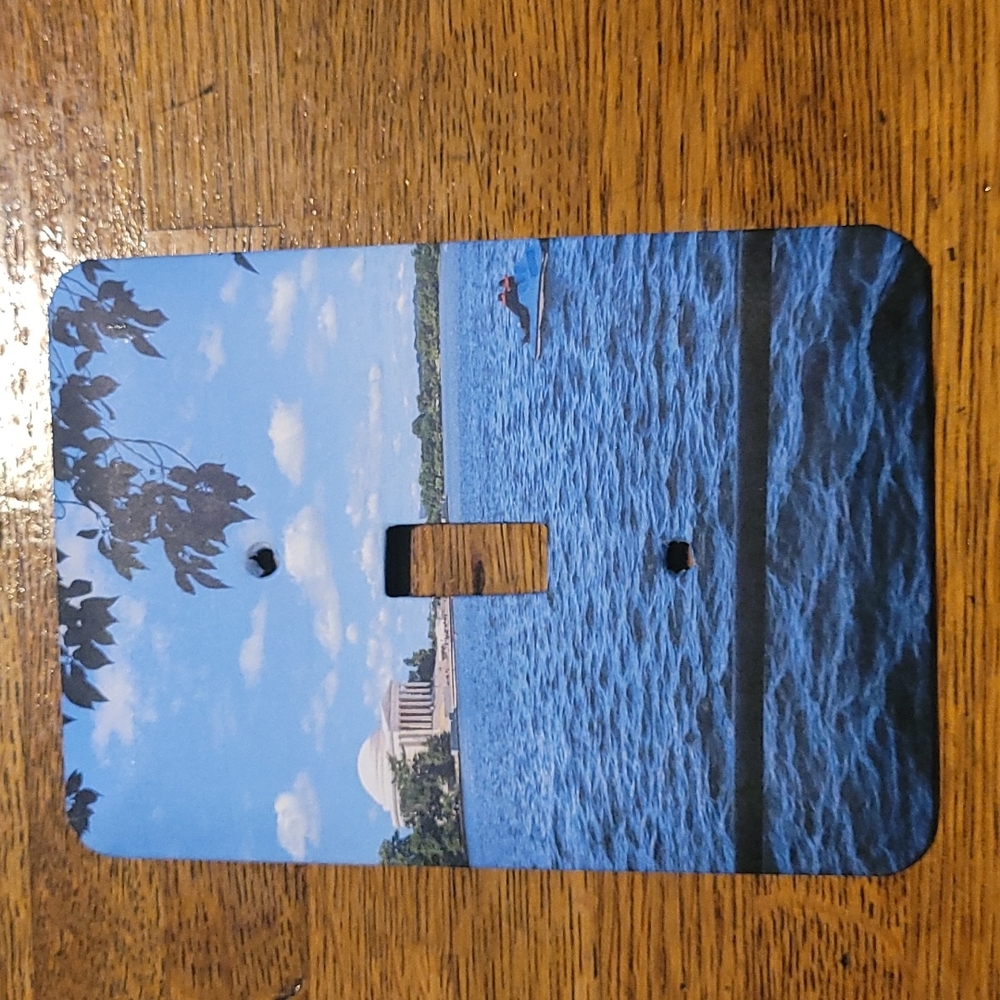 Light switch cover plate, hand made decorative, single gang, screws included